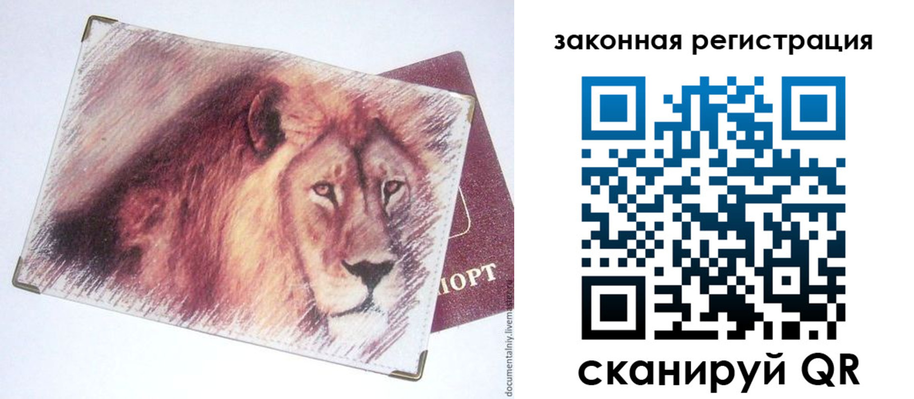 миграционный учет в Кингисеппе
